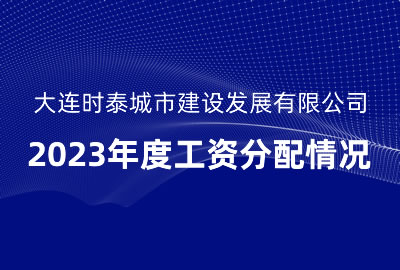 大連時泰城市建設(shè)發(fā)展有限公司2023年度工資分配情況